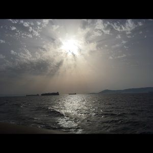 Meet your Posher, Priscilla